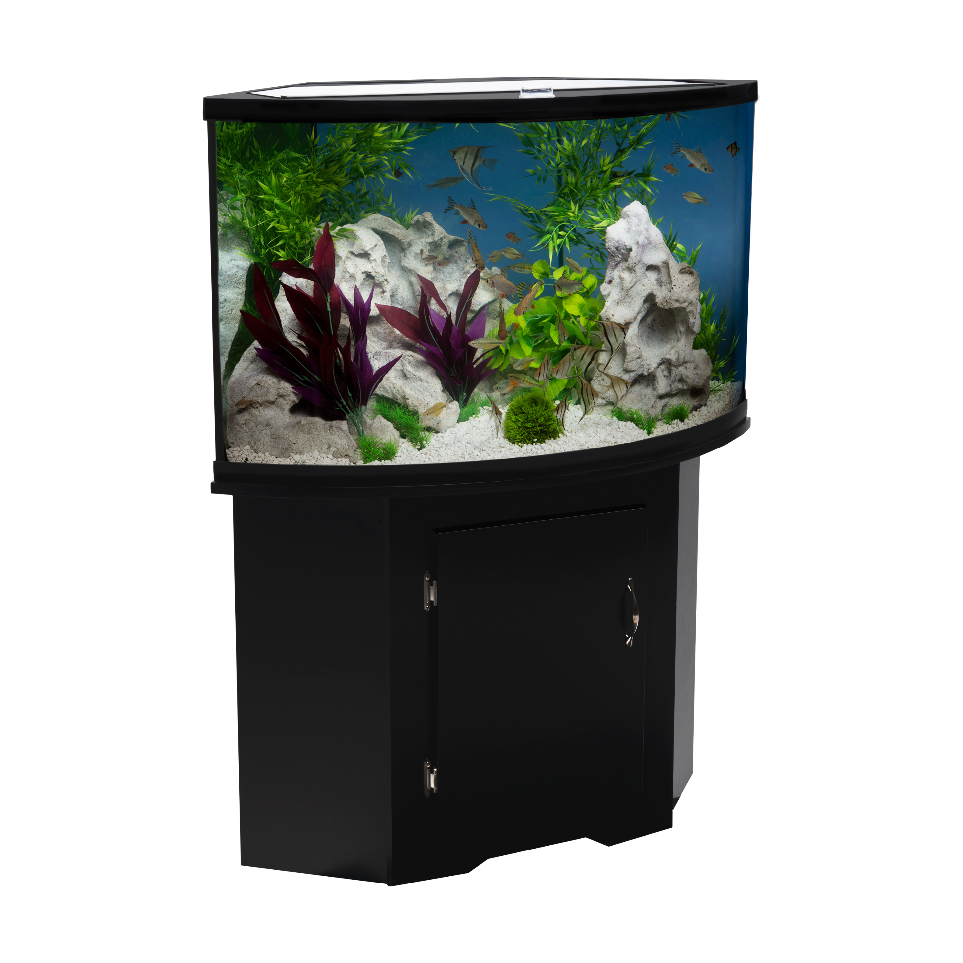 Aquarium ensemble shop